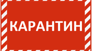В Комитете ветеринарии с Госветинспекцией Республики Алтай                               с 4 по 18 октября 2020 года введен  карантин. Прием граждан не ведется