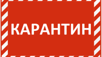 В Комитете ветеринарии с Госветинспекцией Республики Алтай                               с 4 по 18 октября 2020 года введен  карантин. Прием граждан не ведется